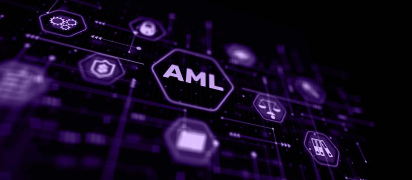 AML Investigations and Case Management: A Guide to Detecting and Combating Money Laundering